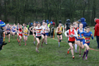 Junior girls 2019 New Balance English Schools Cross Country Champs, Temple Newsam, Leeds. Photo:  David T. Hewitson/Sports for All Pics